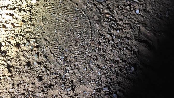 Shoe prints in the desert north of Tucson lead to missing SaddleBrooke man